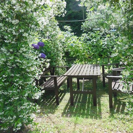 Villa Banana Cannobio Dış mekan fotoğraf