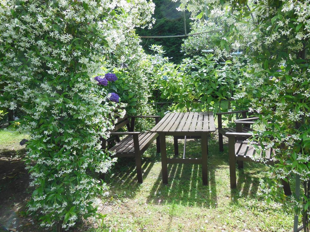 Villa Banana Cannobio Dış mekan fotoğraf